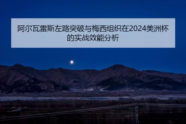 a-er-wa-lei-si-zuo-lu-tu-po-yu-mei-xi-zu-zhi-zai-mei-zhou-bei-de-shi-zhan-xiao-neng-fen-xi-2-768.jpg