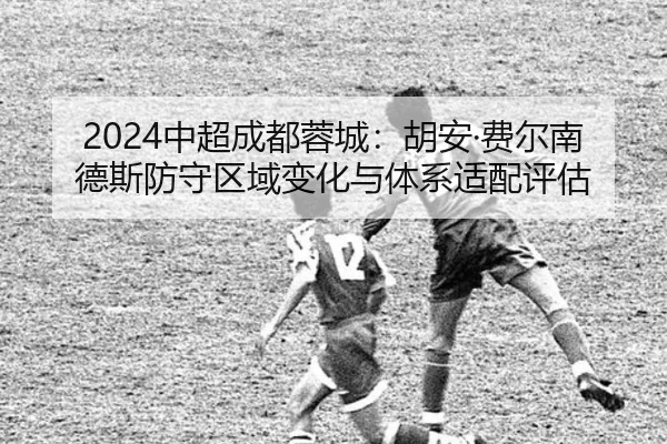 2024中超成都蓉城：胡安·费尔南德斯防守区域变化与体系适配评估
