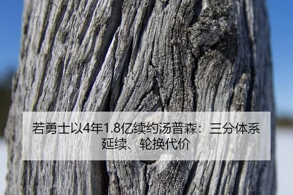 ruo-yong-shi-yi-nian-yi-xu-yue-tang-pu-sen-san-fen-ti-xi-yan-xu-lun-huan-dai-jia-2-388.jpg